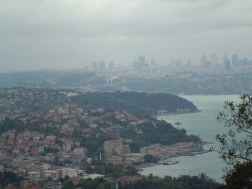 CIMG0422.jpg
