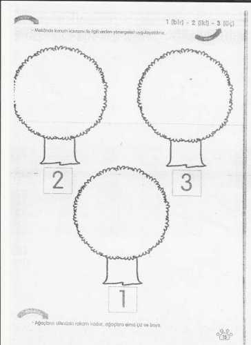 Resim (49).jpg