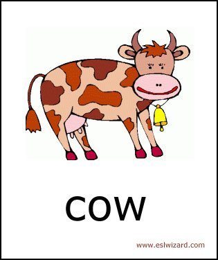 cow.jpg