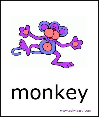 monkey.jpg