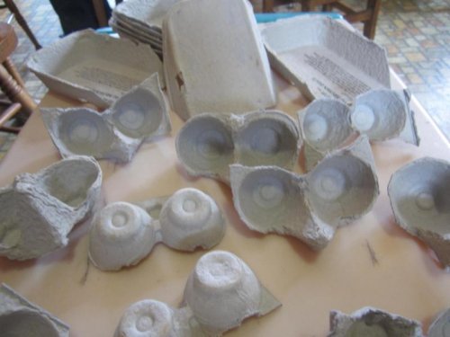 owl forms.jpg