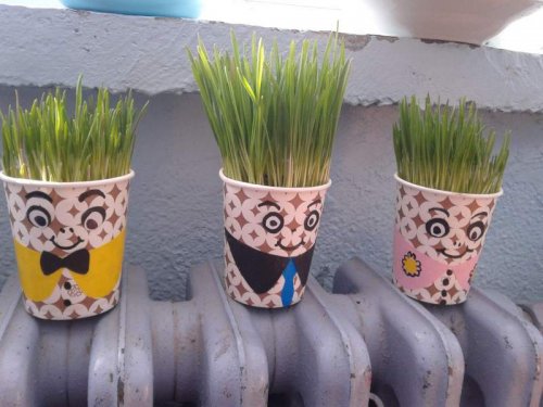 20130111_110042.jpg