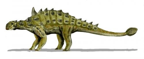 Euoplocephalus_BW.jpg