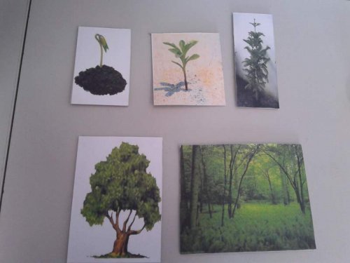 20130321_134121.jpg