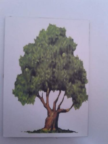 20130326_113028.jpg