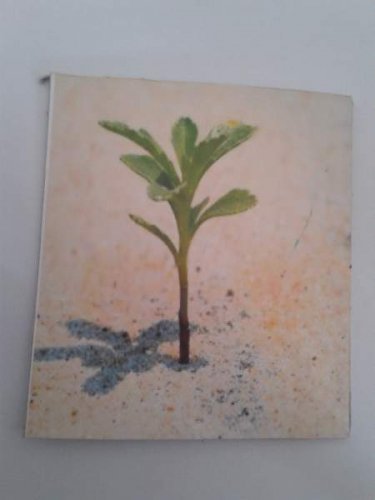 20130326_113100.jpg