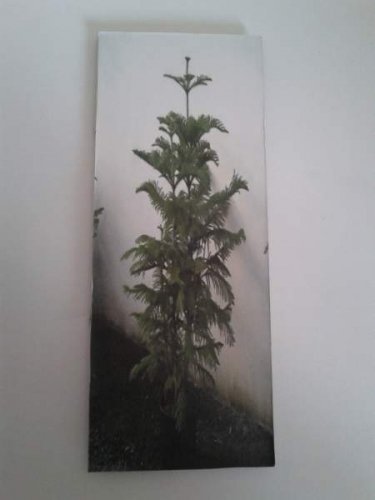 20130326_113108.jpg