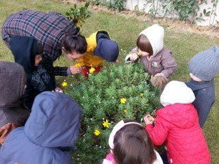 foto_13833000711.jpg