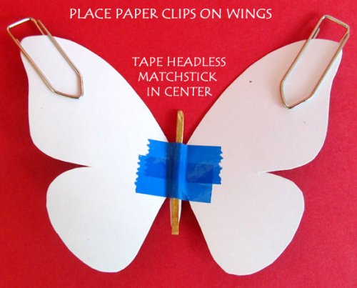 Balancingbutterfly06.jpg