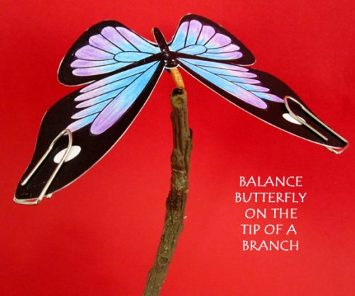 Balancingbutterfly09.jpg
