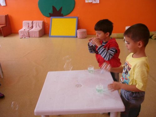 P1050219.jpg