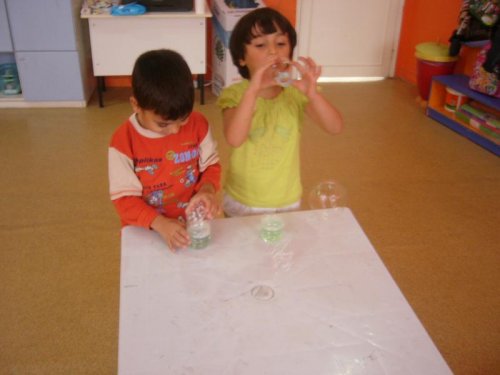 P1050205.jpg