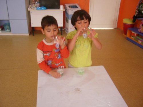P1050203.jpg