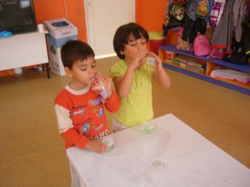 P1050201.jpg