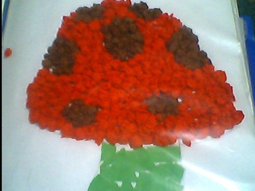 IMG0321A.jpg