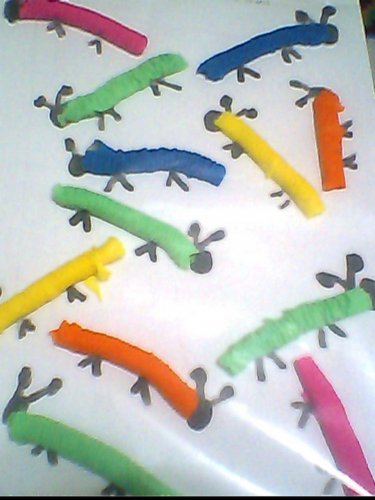 IMG0323A.jpg
