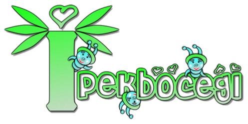 Logo-ipekbocegi.jpg