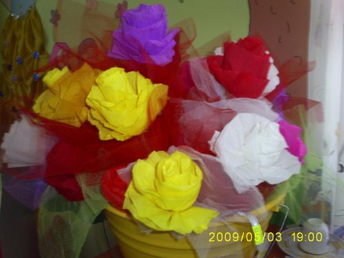 S4034746.jpg
