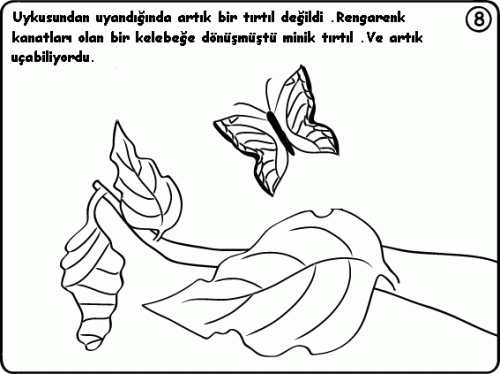 f8300_8.gif