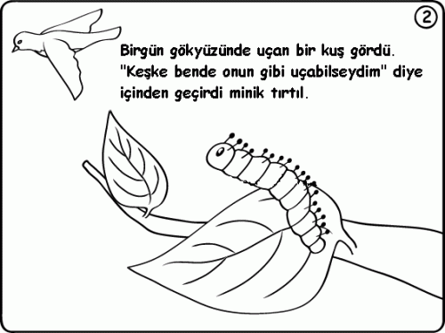 3672b_2.gif