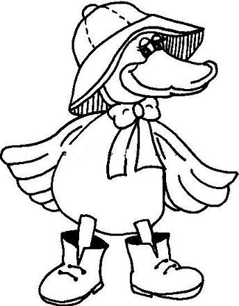 duck_h6k..jpg