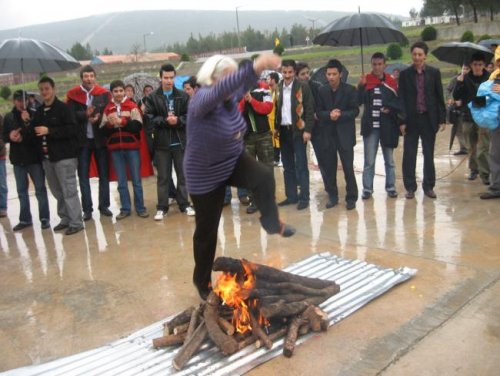 IMG_0861_650x488.jpg