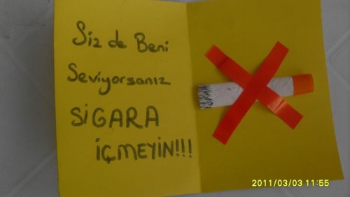 SDC19582.jpg
