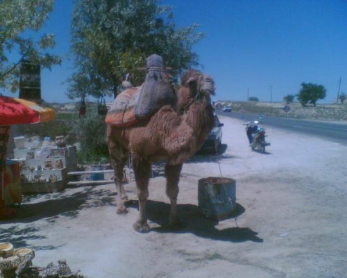Görüntü039.jpg