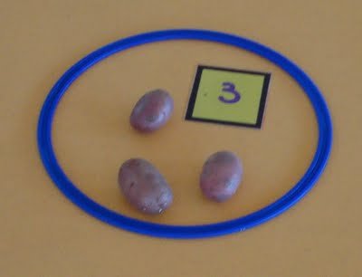 DSC08762.JPG