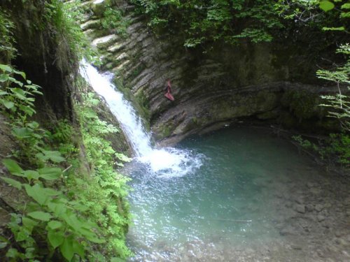 DSC00024.jpg