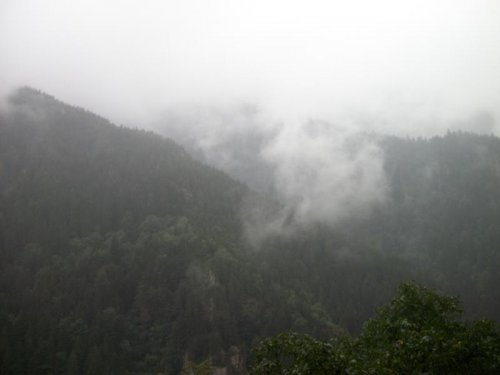 100_1900.jpg