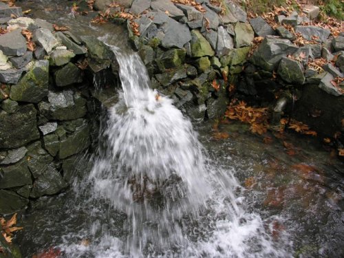DSCN6292.jpg