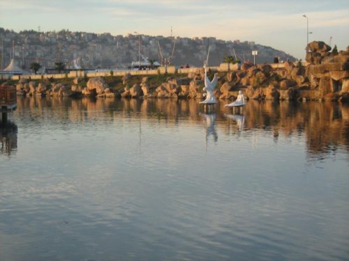IMG_1126.jpg