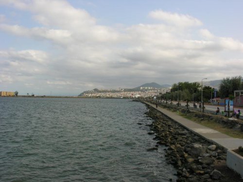 DSCN6352.jpg