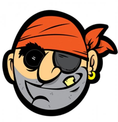 PIRATE_MASK_IMAGE(1).jpg