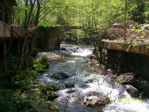 100_8040.jpg