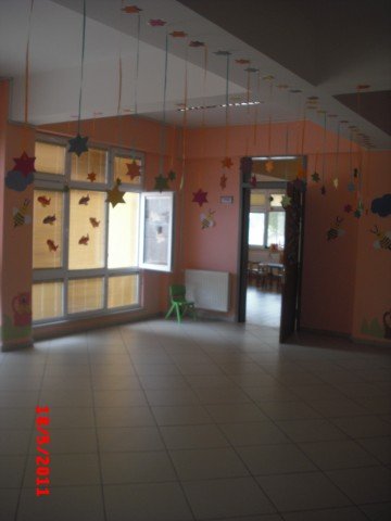 CIMG4642.jpg