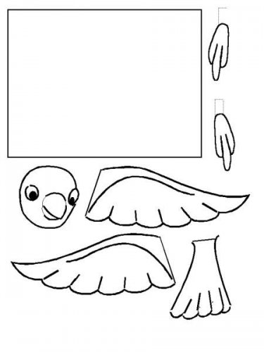 bdove.jpg