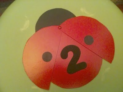 ladybug counting3.jpg
