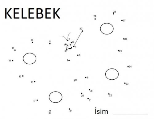 kelebek rakam.jpg