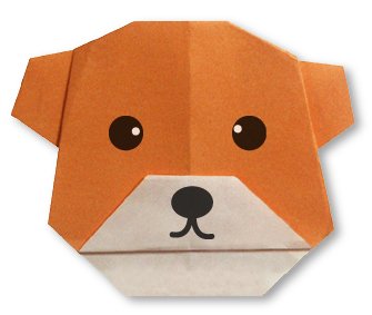 bearface.jpg