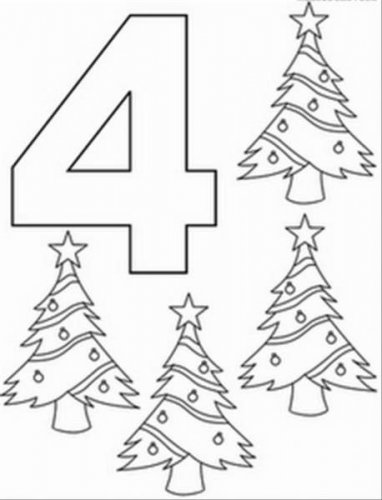 444.jpg