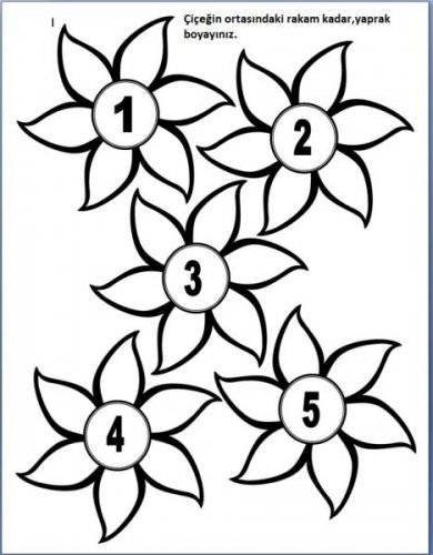 flowers.jpg