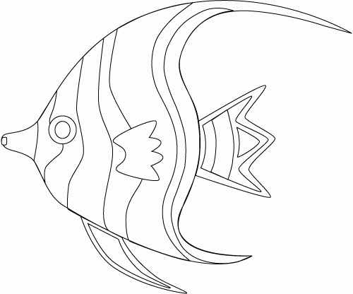 angel-fish500.gif