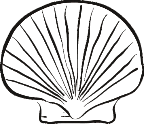 B&W_scallop.gif