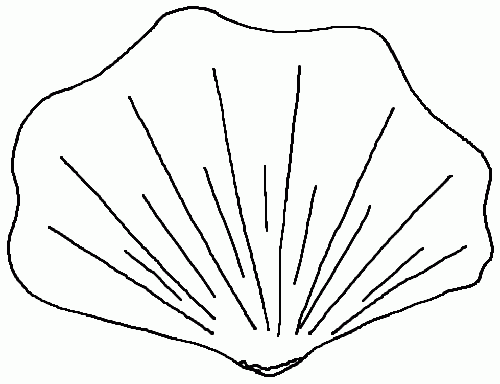 cockle-shell-coloring-page-sea-shell-clipart-7.gif