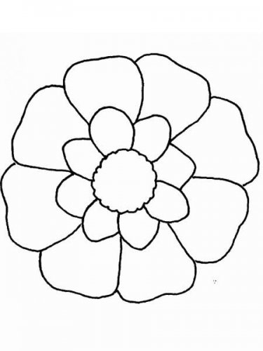 1 (48).jpg