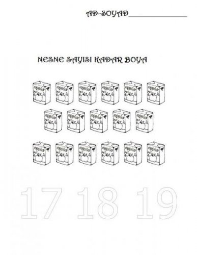 BOYA (10).jpg