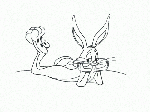 bunny-04.jpg