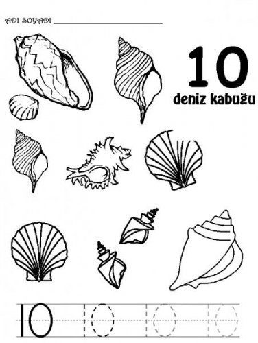 RAKAMLAR (3).jpg